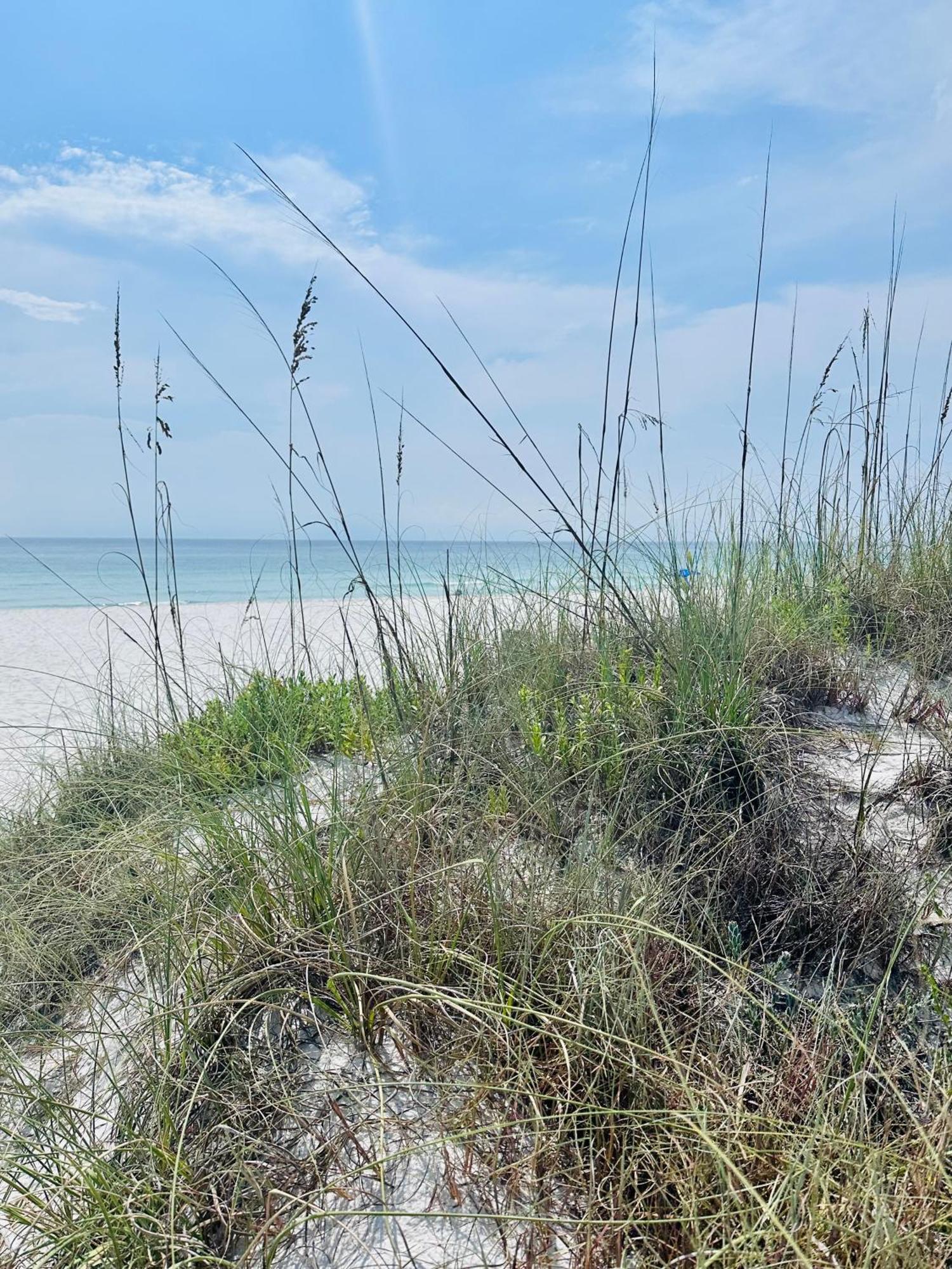 Sea Salt Vacation Home, Private Pool - Walk To Beach Panama City Beach Ngoại thất bức ảnh